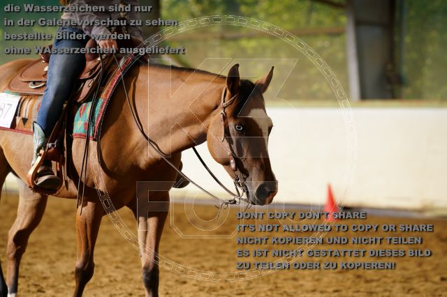 s_K3F08966.JPG